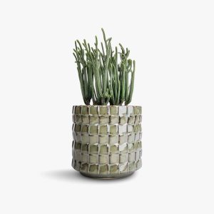 Tied Ribbons Artificial Eucalyptus Gingko Leaves Plants