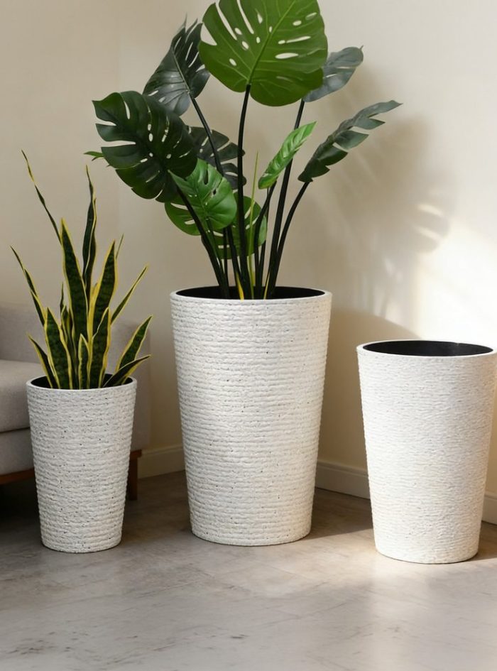 Luxury plant pots sri lanka