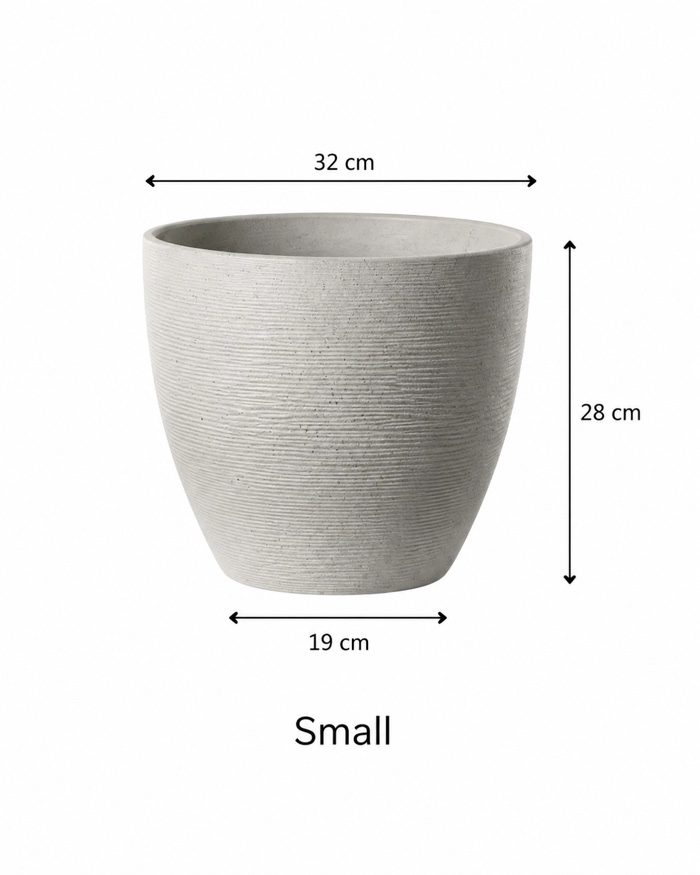 TAF001D-small TAF001D-small