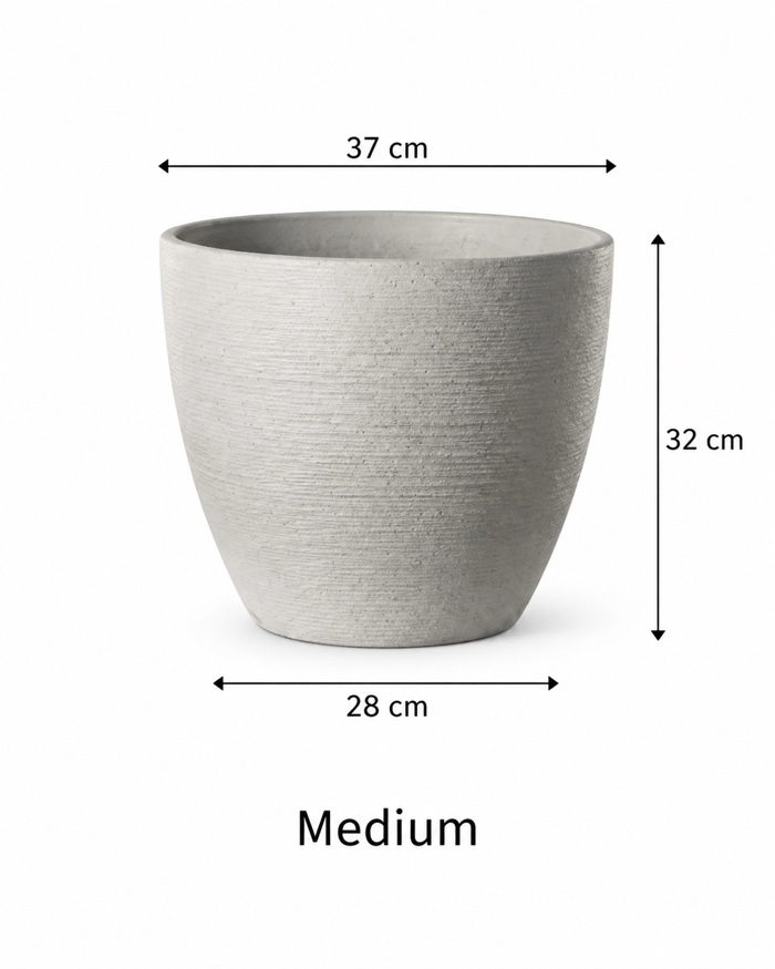 TAF002D-medium TAF002D-medium