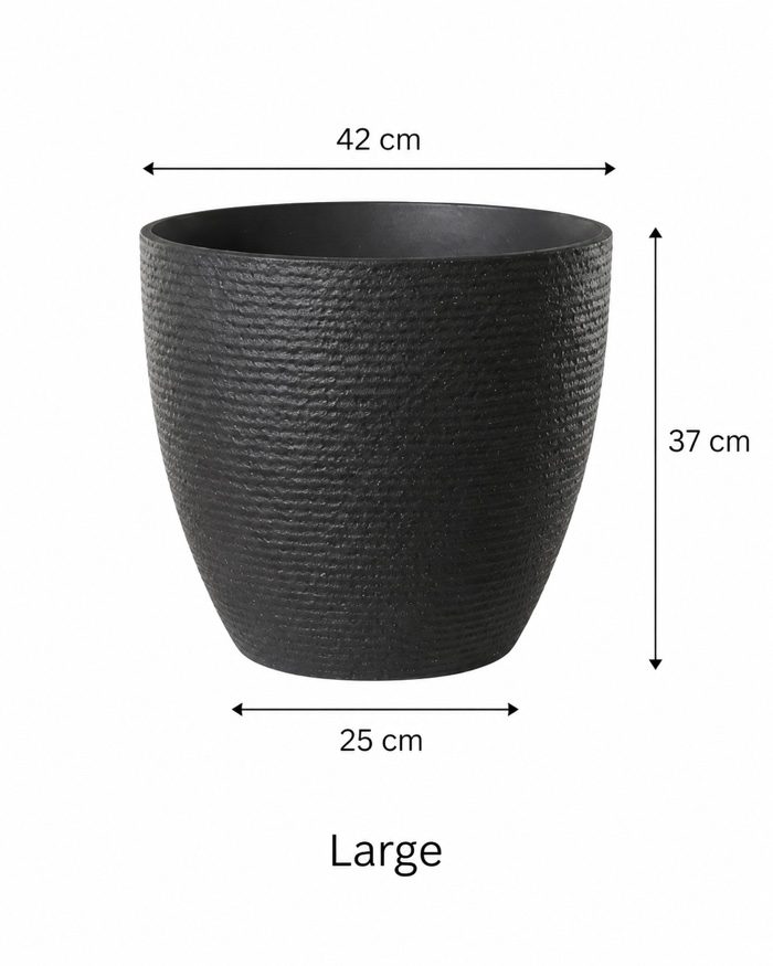 TAF003B-large TAF003B-large