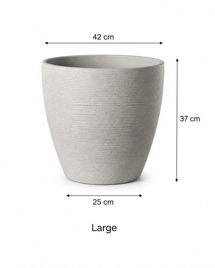 TAF003D-large TAF003D-large