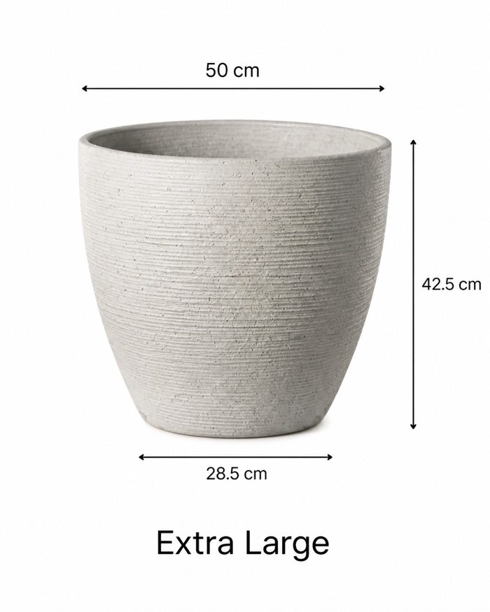 TAF004D-extra-large TAF004D-extra-large