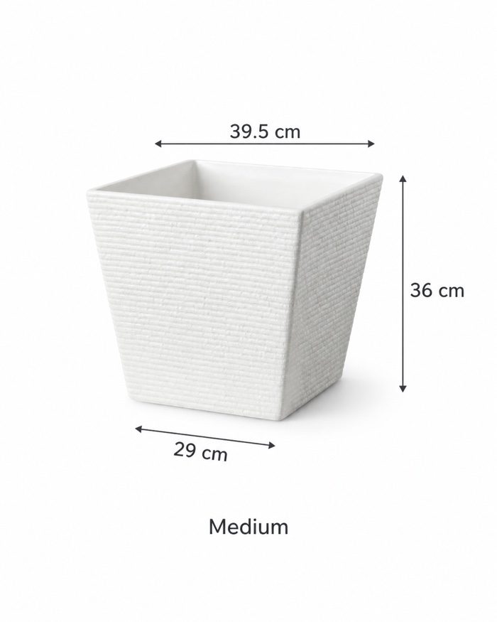 TAF010A-medium TAF010A-medium