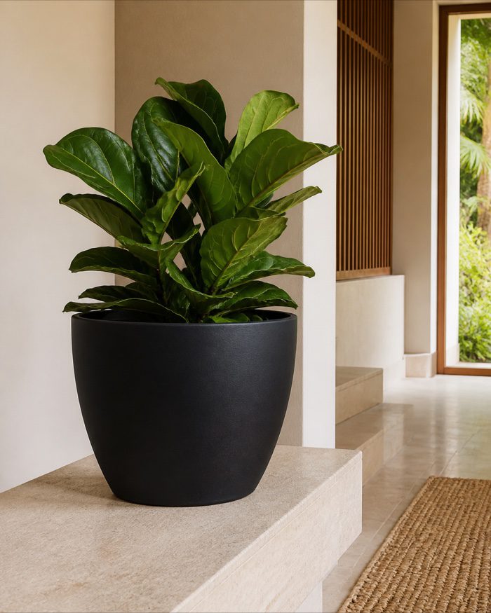TAF013B-hero Black minimalist tapered round planter styled in a luxury interior