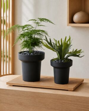 Minimalist Mini Pedestal Round Plastic Planter – Black