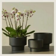 Black mini classic round planters styled with orchids