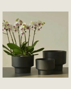 Black mini classic round planters styled with orchids