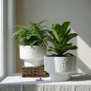 White hammered round planter styled with indoor greenery