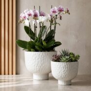 White hammered raised bowl planters with orchids and succulents