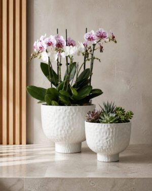 White hammered raised bowl planters with orchids and succulents