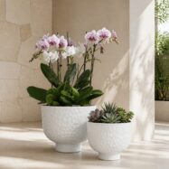 White raised bowl planters in a bright architectural patio