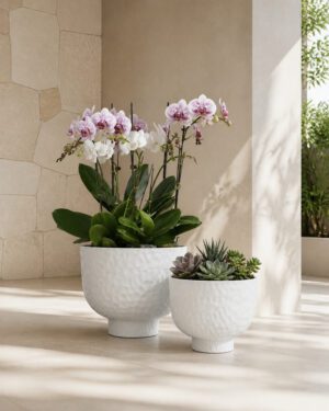 White raised bowl planters in a bright architectural patio
