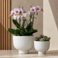 Pearlescent white hammered planters in a luxury interior