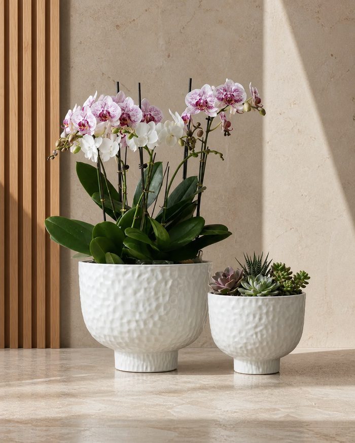 TAF036A-3 Pearlescent white hammered planters in a luxury interior