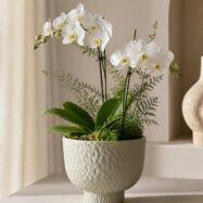 Beige hammered raised bowl planter styled with white orchids