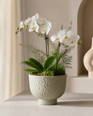 Beige hammered raised bowl planter styled with white orchids
