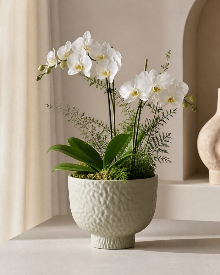 TAF036B-hero Beige hammered raised bowl planter styled with white orchids