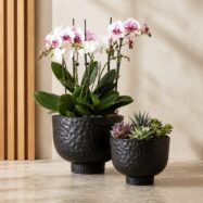 Luxury black hammered raised bowl planters