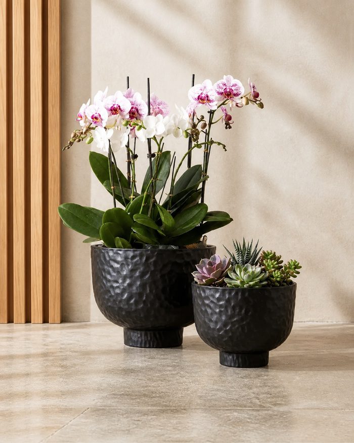 TAF036C-1 Luxury black hammered raised bowl planters