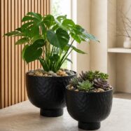 Black raised bowl planters styled with Monstera and succulents