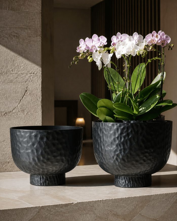 TAF036C-3 Black hammered raised bowl planters in a luxury interior