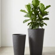 Luxury black stone textured tall round planters in Medium and Large