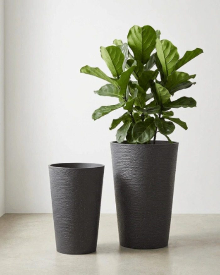 featured-black-stone-textured-tall-round-planter Luxury black stone textured tall round planters in Medium and Large