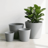 featured-blue-gray-wide-rim-planter-4x5