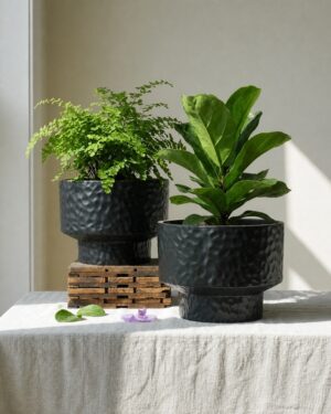 Black hammered round plastic planters with plants