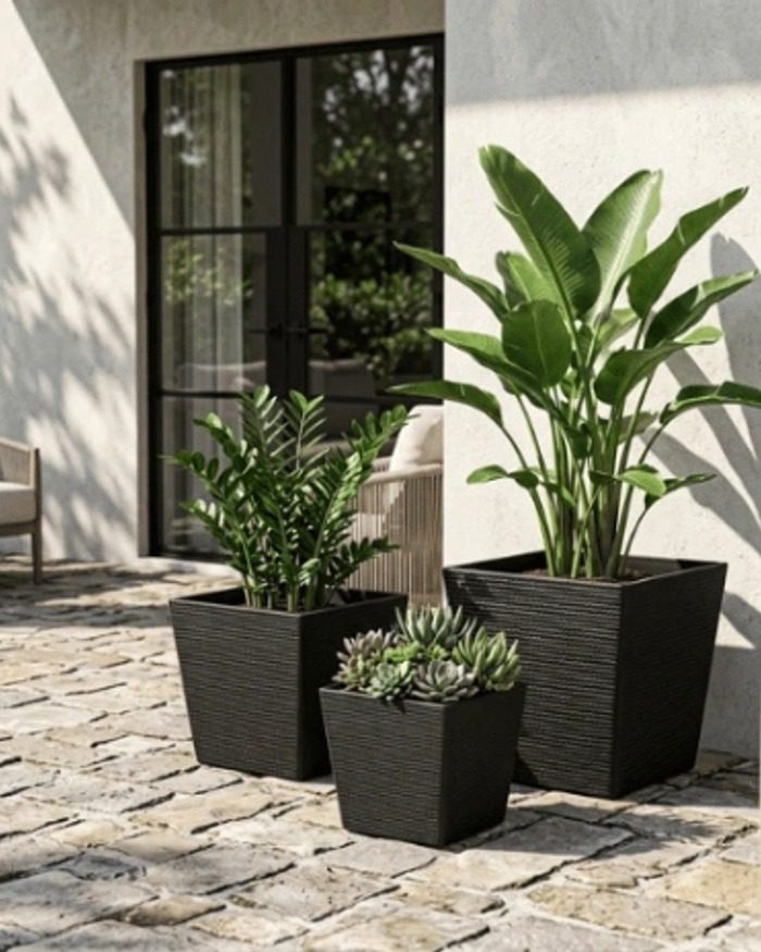gallery-black-square-planters-courtyard gallery-black-square-planters-courtyard