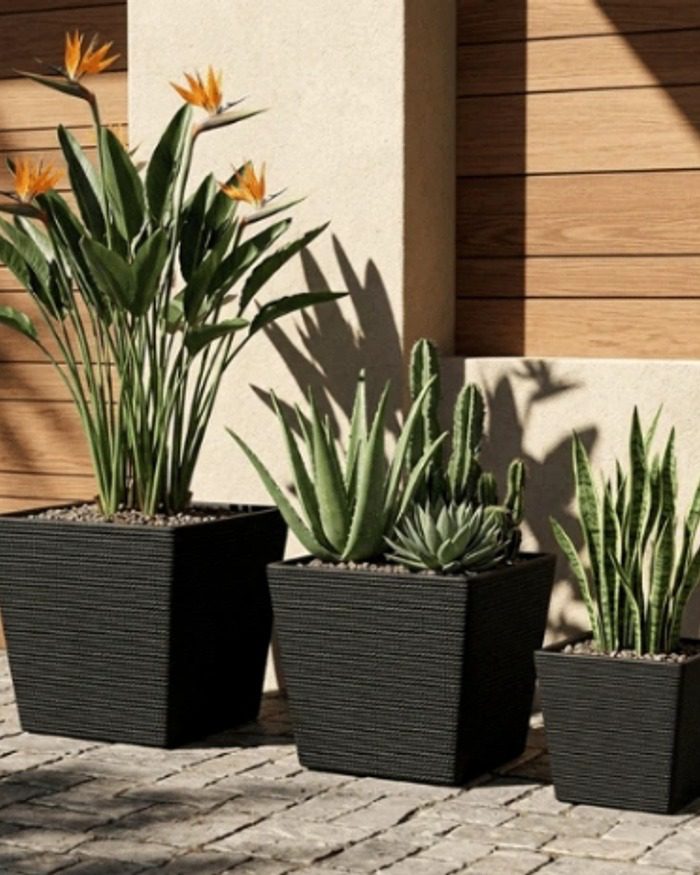 gallery-black-square-planters-entrance gallery-black-square-planters-entrance