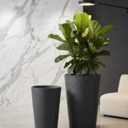 Black stone textured tall round planter styled in a modern living space