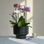 Black hammered round planter with orchid
